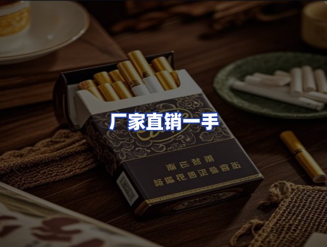 专业团队